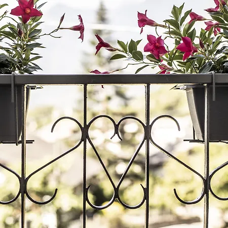 Bed & Breakfast Casa Pasini-foresteria